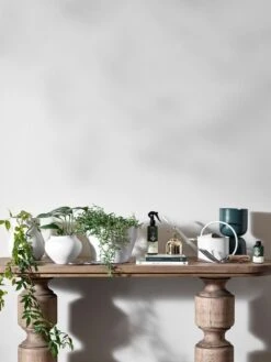 Indoor Watering Can Buttermilk -Best Home 2021 gardening console 2