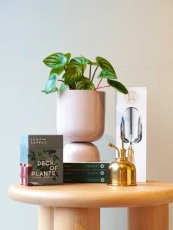 Trowel -Best Home 2023 garden outdoor 2 1