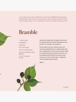 Cocktail Botanica -Best Home book cocktail botanica elouise anders annabelle lambie 2