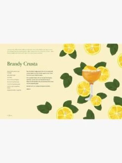 Cocktail Botanica -Best Home book cocktail botanica elouise anders annabelle lambie 3