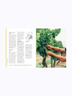 How To Drink Australian 9 How To Drink Australian -Best Home book how to drink australian.j jane lopes jonathon ross martin von wyss 4