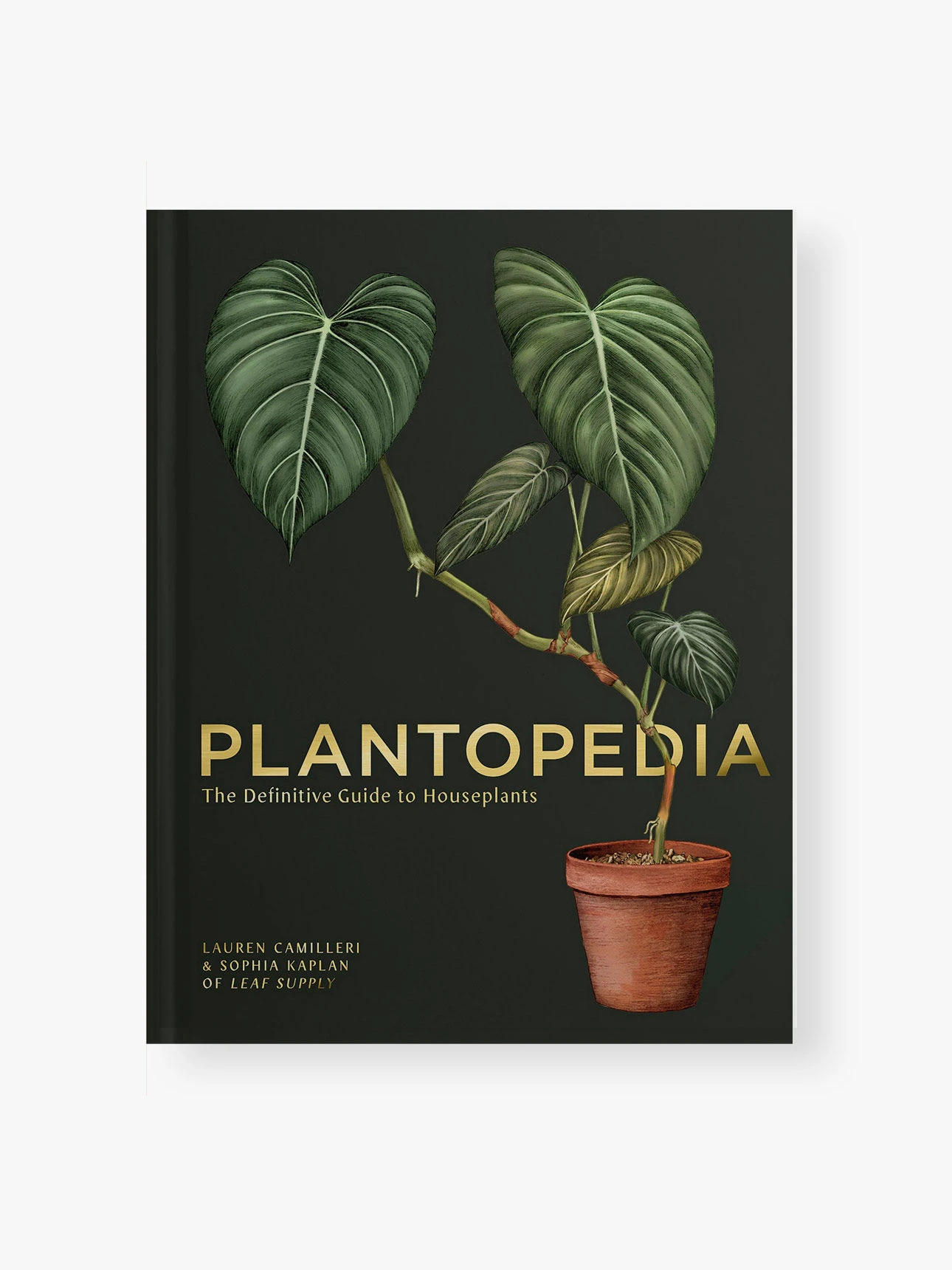 Plantopedia 3 Plantopedia