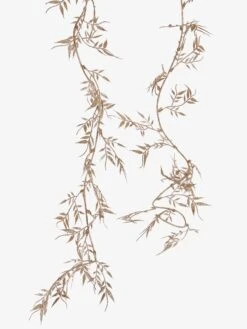 Fern Garland - Champagne