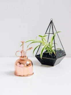 Mist Sprayer Copper -Best Home haws mist sprayer copper plant 2