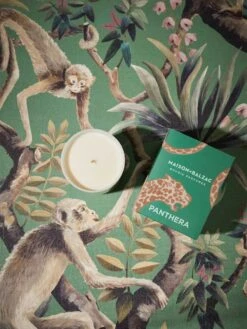 Panthera Scented Candle -Best Home maison balzac catherine martin 5