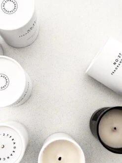 Fig Tree Scented Candle -Best Home no27 fragrance house candles 1