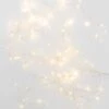 Papaya LED Twinkling Fairy Light Garland - 6m -Best Home papaya capella led twinkling fairy light 1