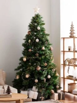Papaya Fir Christmas Tree - Medium