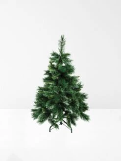 Papaya Fir Christmas Tree - Small