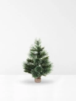 Papaya Fir Christmas Tree - Mini
