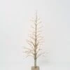 Papaya Spruce LED Tree - Medium -Best Home papaya spruce led tree champagne 150cm