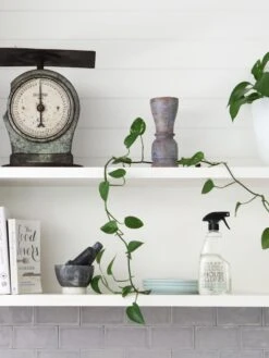 Lemon Myrtle House Cleaner 500ml -Best Home planet luxe house cleaner shelf side