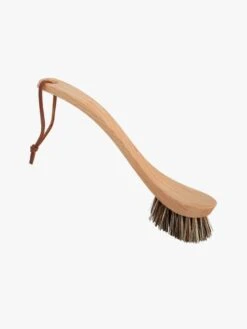 Dish Brush Curved