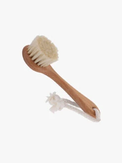 Face Brush