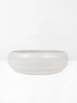 Large Salad Bowl In Coast