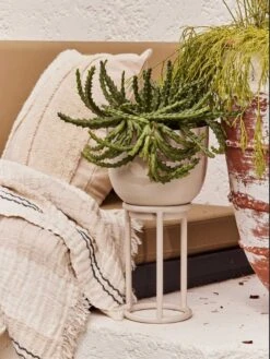 Yaamur Large Plant Stand - Stone 10 Yaamur Large Plant Stand - Stone -Best Home saarde yaamur planter clay 1 1