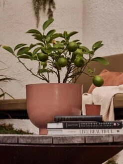 Yaamur Large Planter - Pink Clay -Best Home saarde yaamur planter guava 1