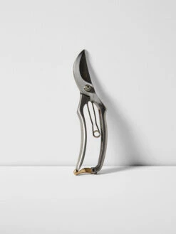 Secateurs