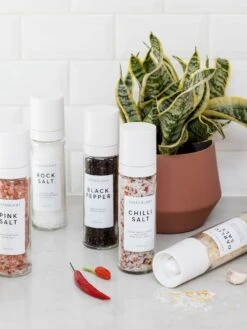 Great Barrier Reef Garlic Salt -Best Home tasteology lifestyle salt and pepper 1