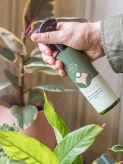 Protect Spray -Best Home we the wild protet lifestyle 02 1